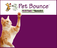 12755171491069478425.336x280